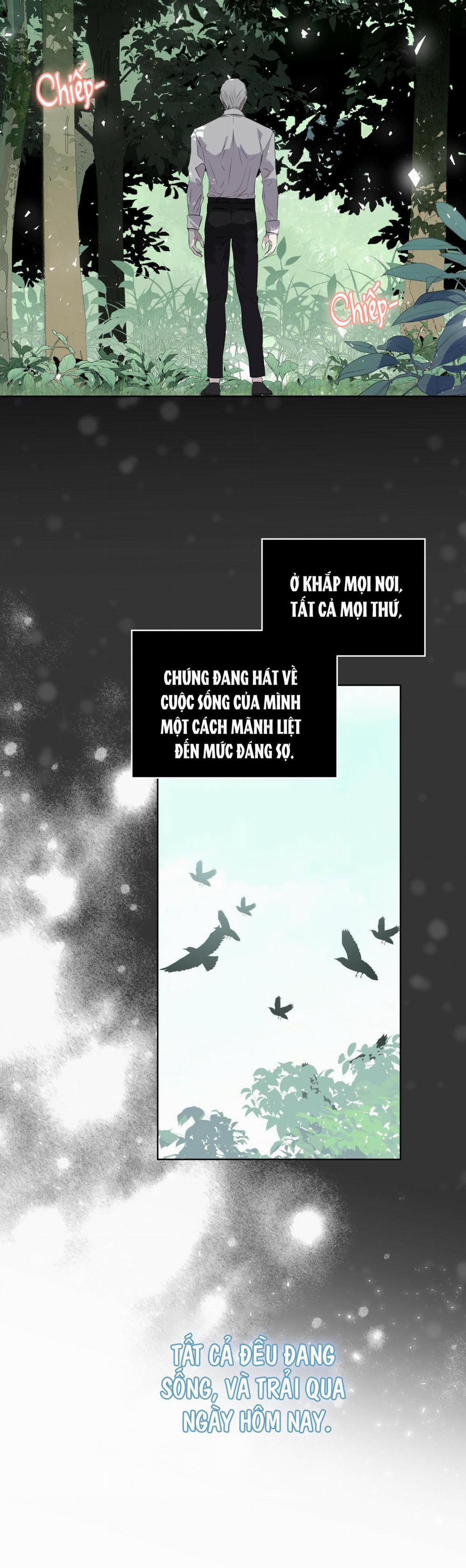 manhwax10.com - Truyện Manhwa Rừng Biển Chương 11 Trang 3