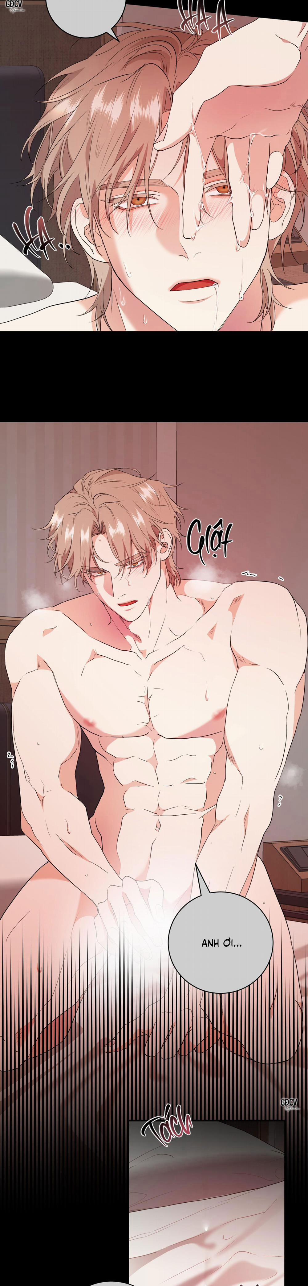 manhwax10.com - Truyện Manhwa SÁT THỦ TRINH TIẾT Chương 2 Trang 24