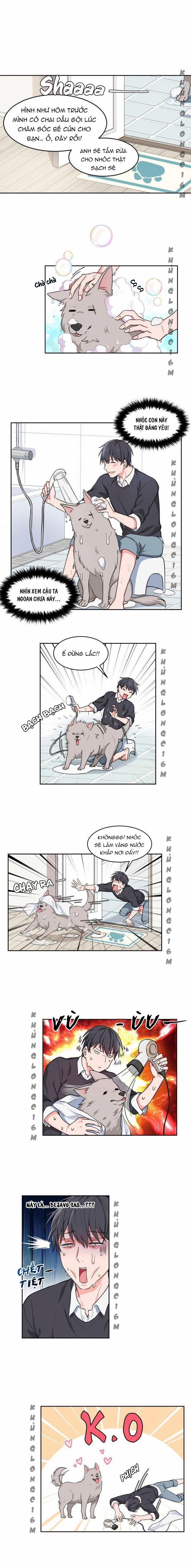 manhwax10.com - Truyện Manhwa Sit, Wait, Kiss Me Chương 1 Trang 18