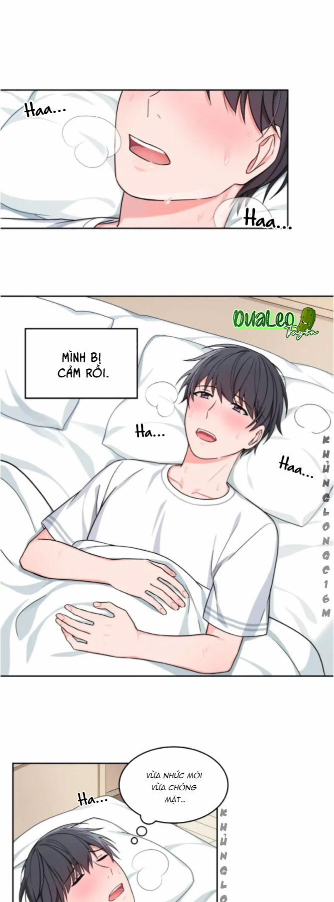 manhwax10.com - Truyện Manhwa Sit, Wait, Kiss Me Chương 15 Trang 1