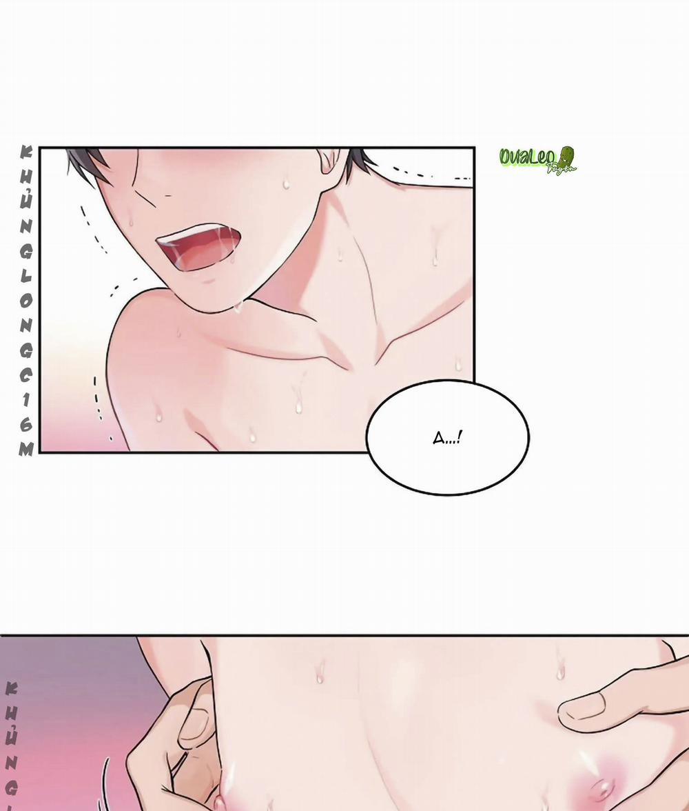 manhwax10.com - Truyện Manhwa Sit, Wait, Kiss Me Chương 16 Trang 1