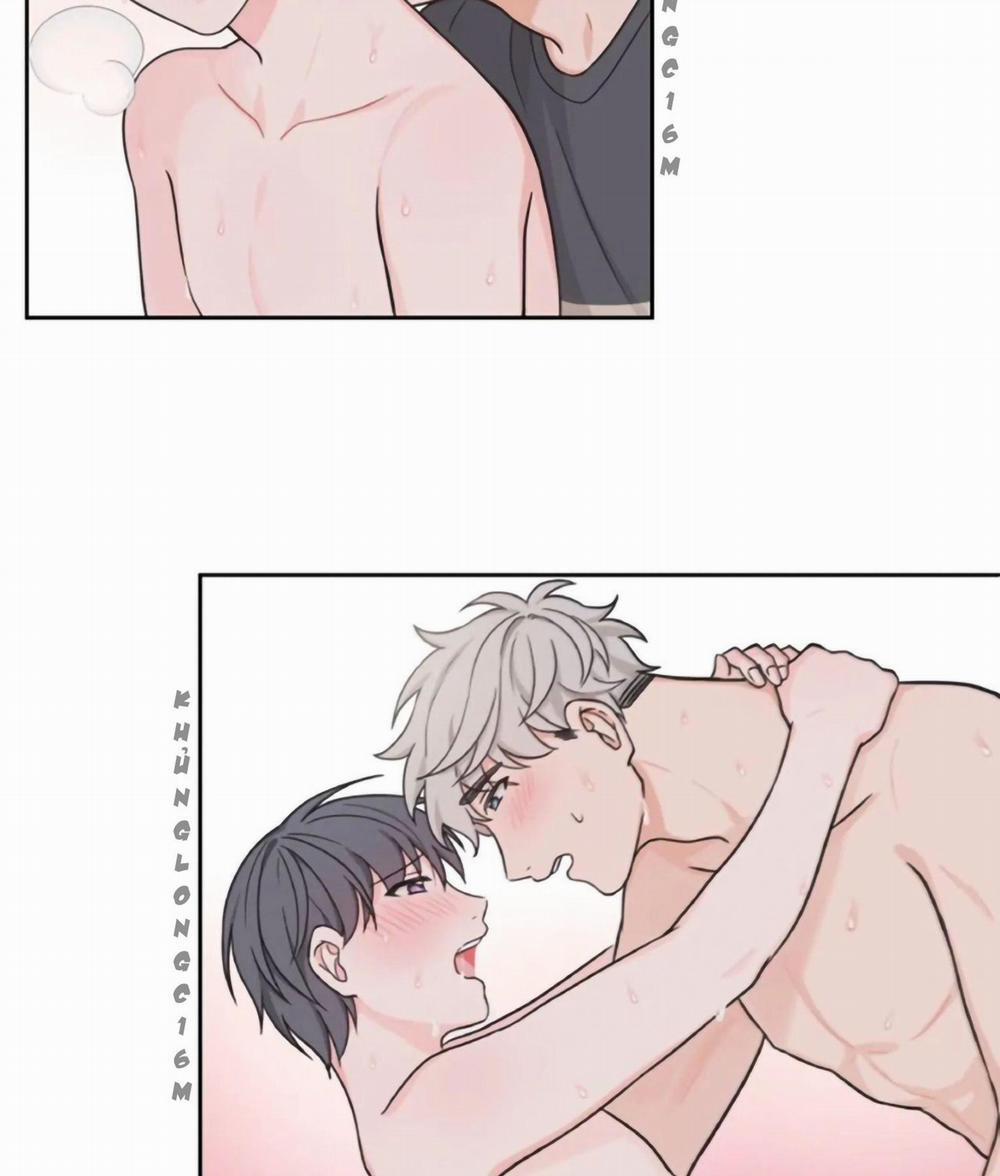 manhwax10.com - Truyện Manhwa Sit, Wait, Kiss Me Chương 19 Trang 16