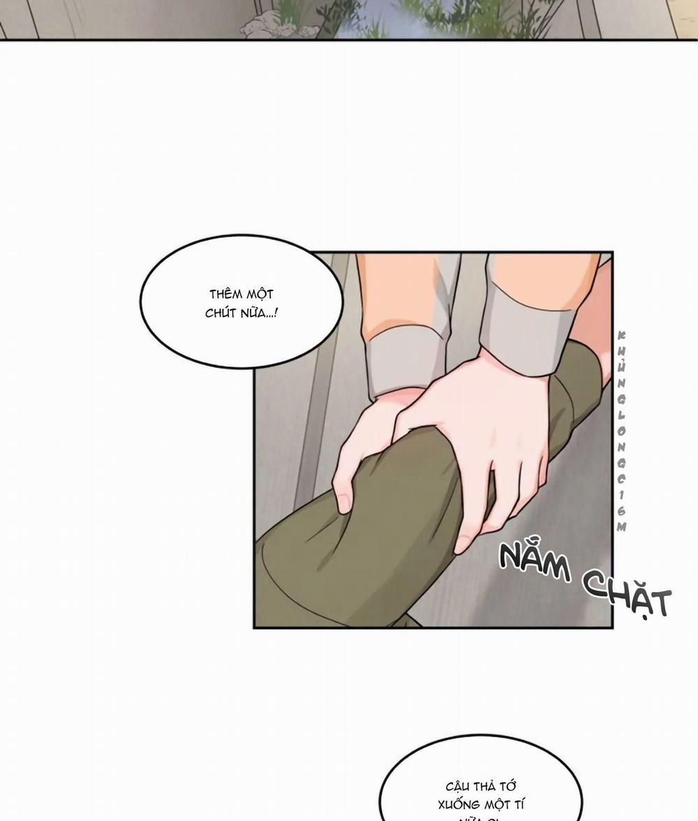 manhwax10.com - Truyện Manhwa Sit, Wait, Kiss Me Chương 20 Trang 13