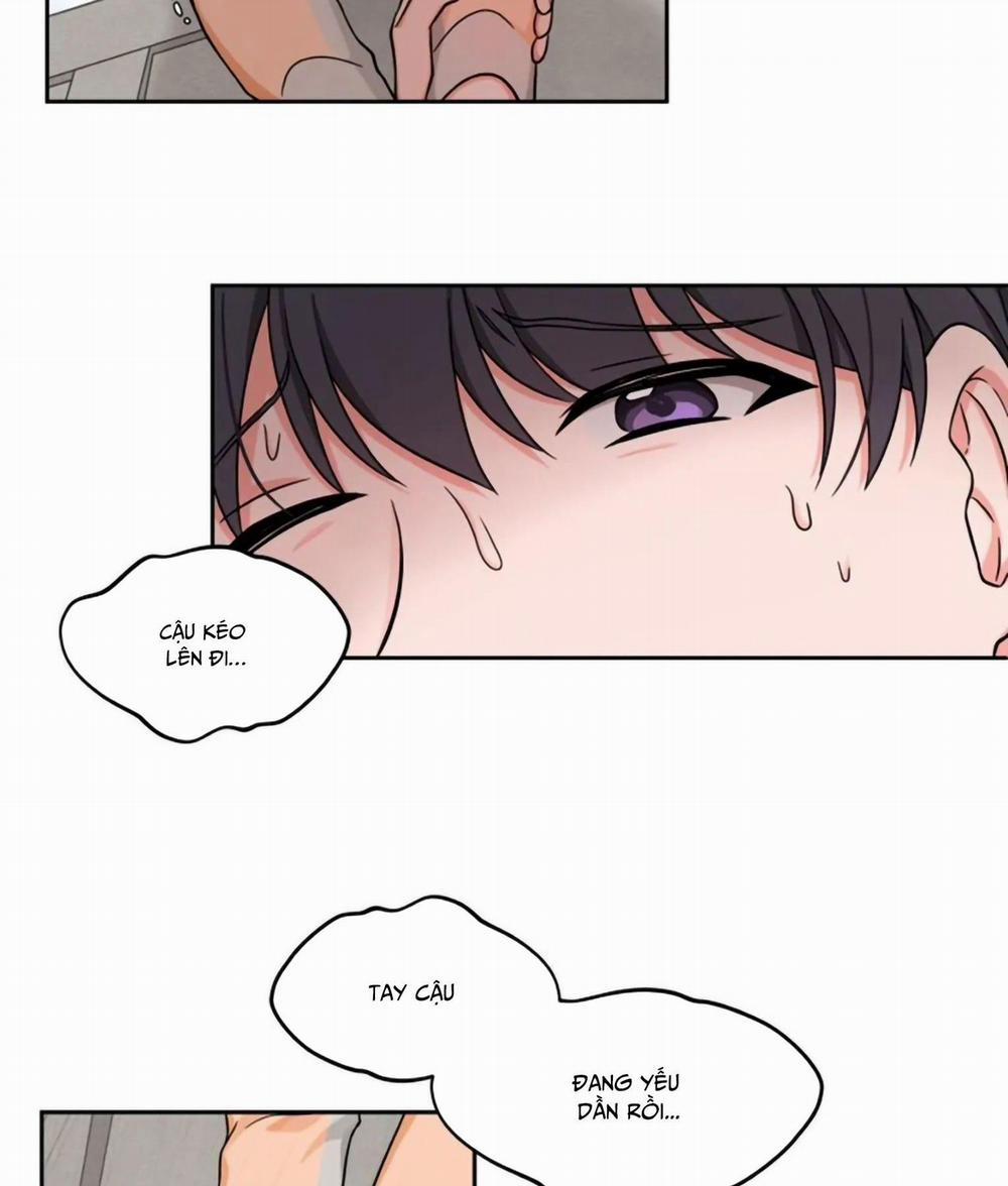 manhwax10.com - Truyện Manhwa Sit, Wait, Kiss Me Chương 20 Trang 19