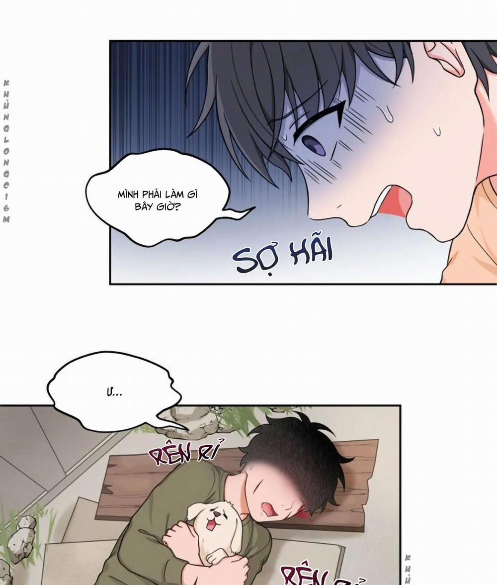 manhwax10.com - Truyện Manhwa Sit, Wait, Kiss Me Chương 20 Trang 26