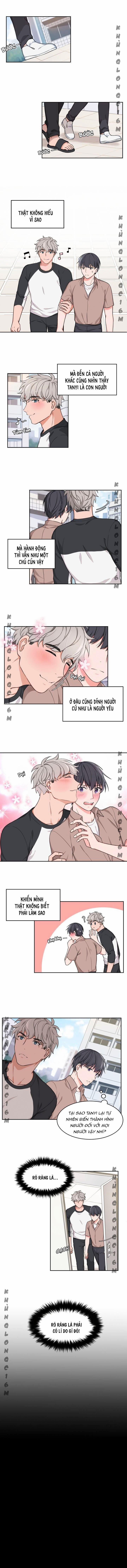 manhwax10.com - Truyện Manhwa Sit, Wait, Kiss Me Chương 5 Trang 1