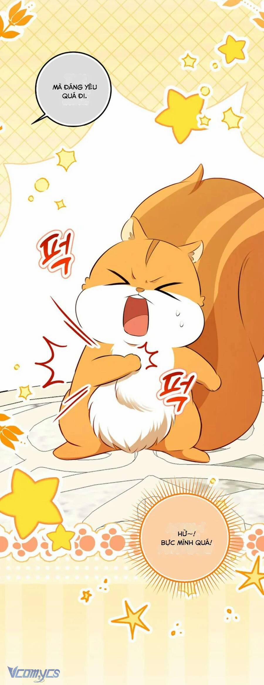 manhwax10.com - Truyện Manhwa Sóc Nhỏ Tài Năng Chương 100 Trang 24