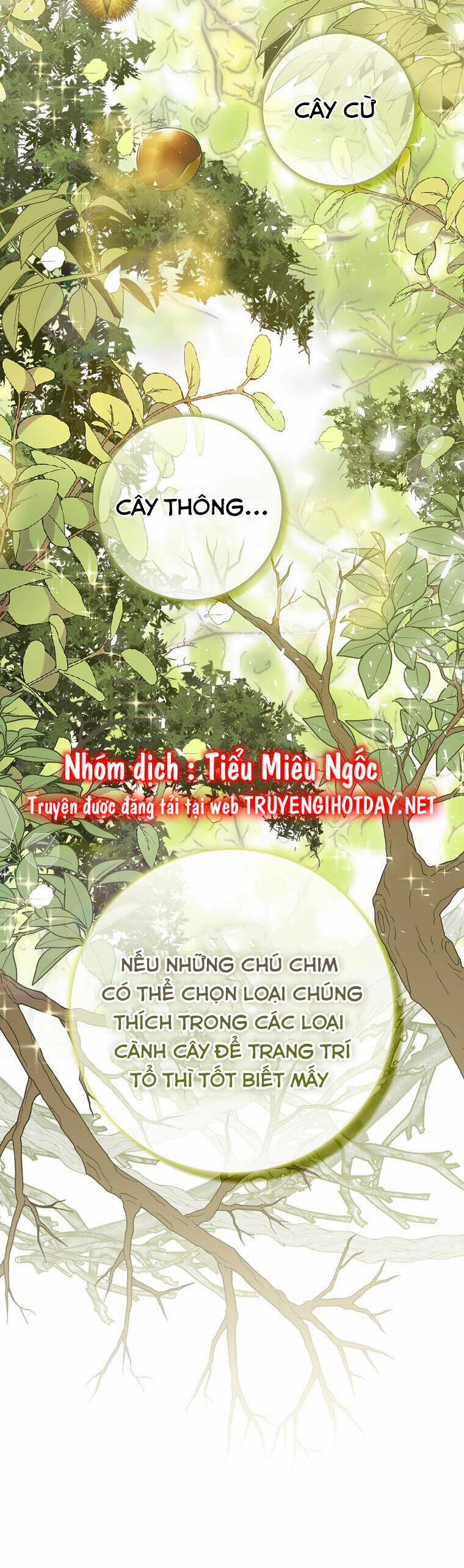 manhwax10.com - Truyện Manhwa Sóc Nhỏ Tài Năng Chương 51 Trang 17