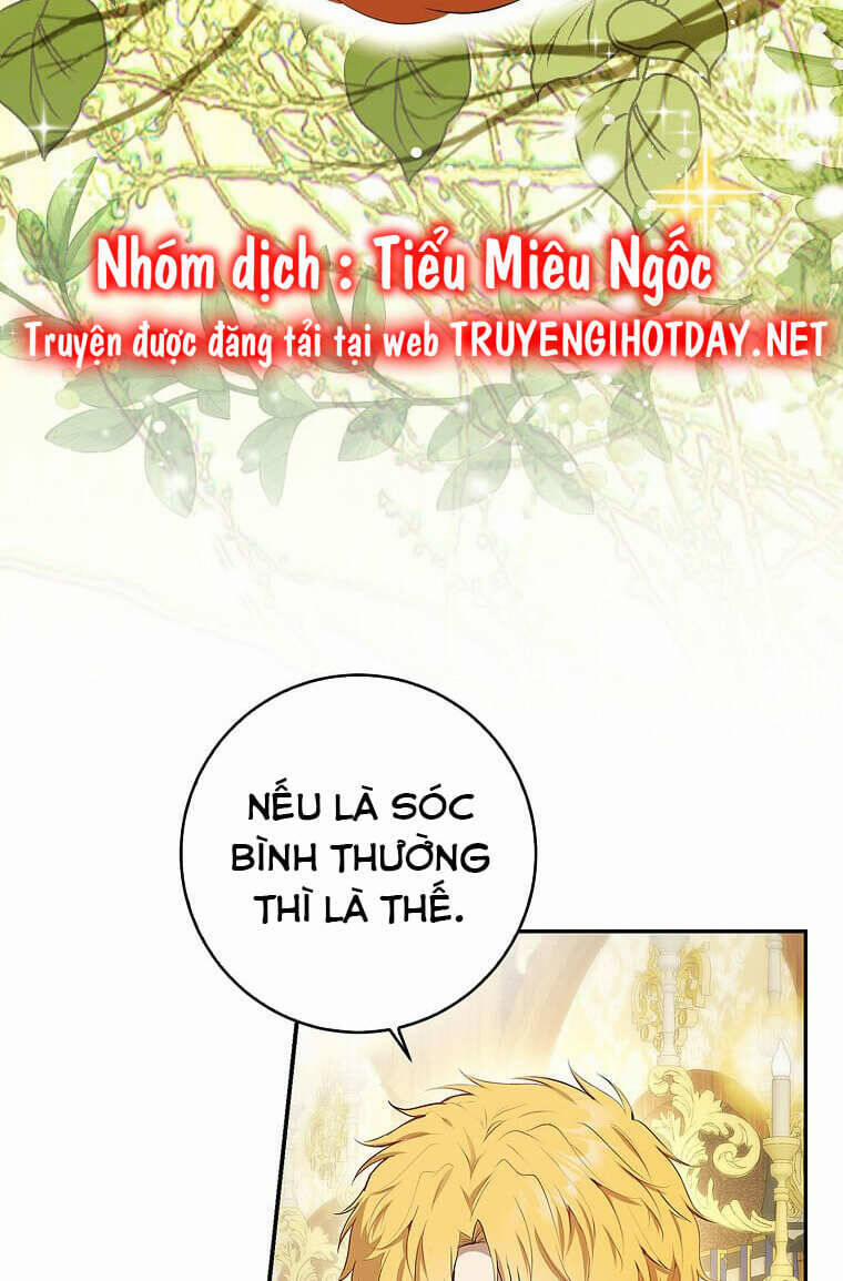 manhwax10.com - Truyện Manhwa Sóc Nhỏ Tài Năng Chương 73 Trang 62