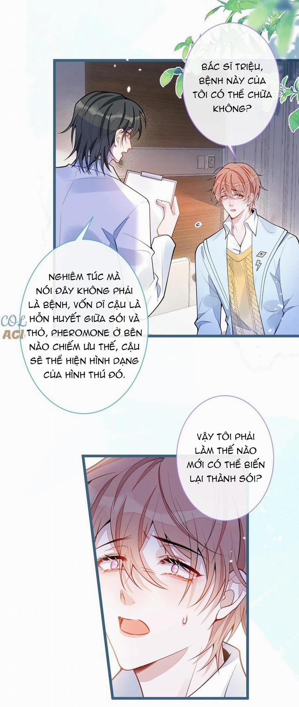 manhwax10.com - Truyện Manhwa Sói Báo Ơn (END) Chương 52 Trang 17