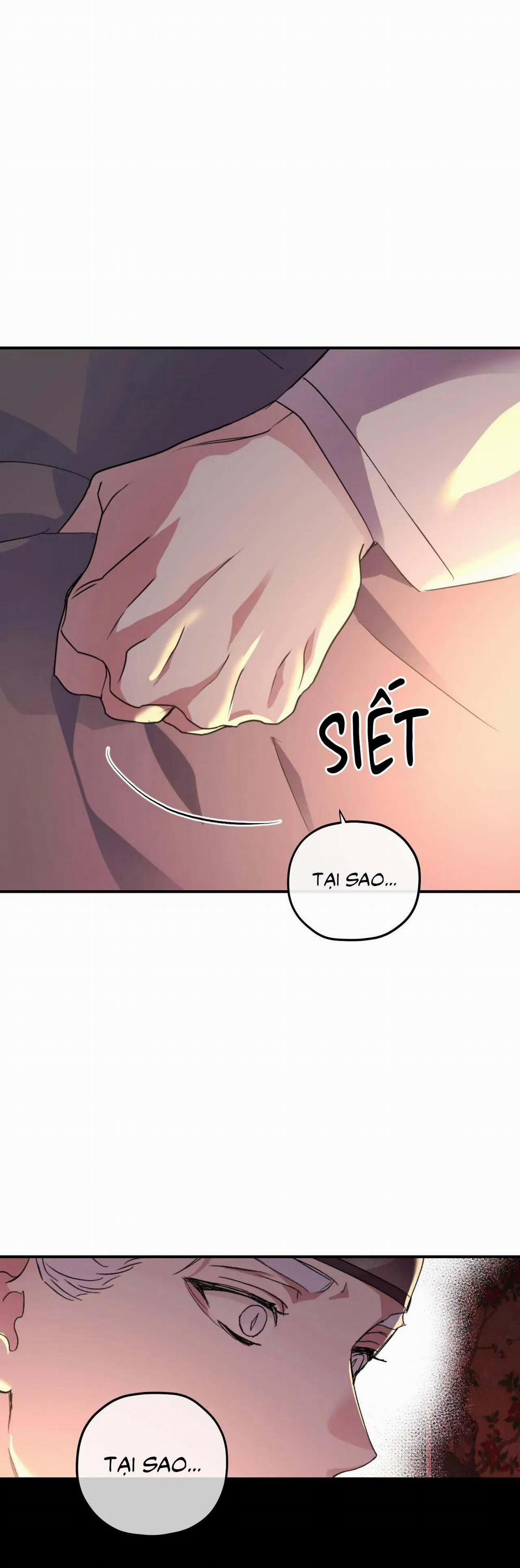 manhwax10.com - Truyện Manhwa Sóng Tìm Em Chương 82 END Trang 41