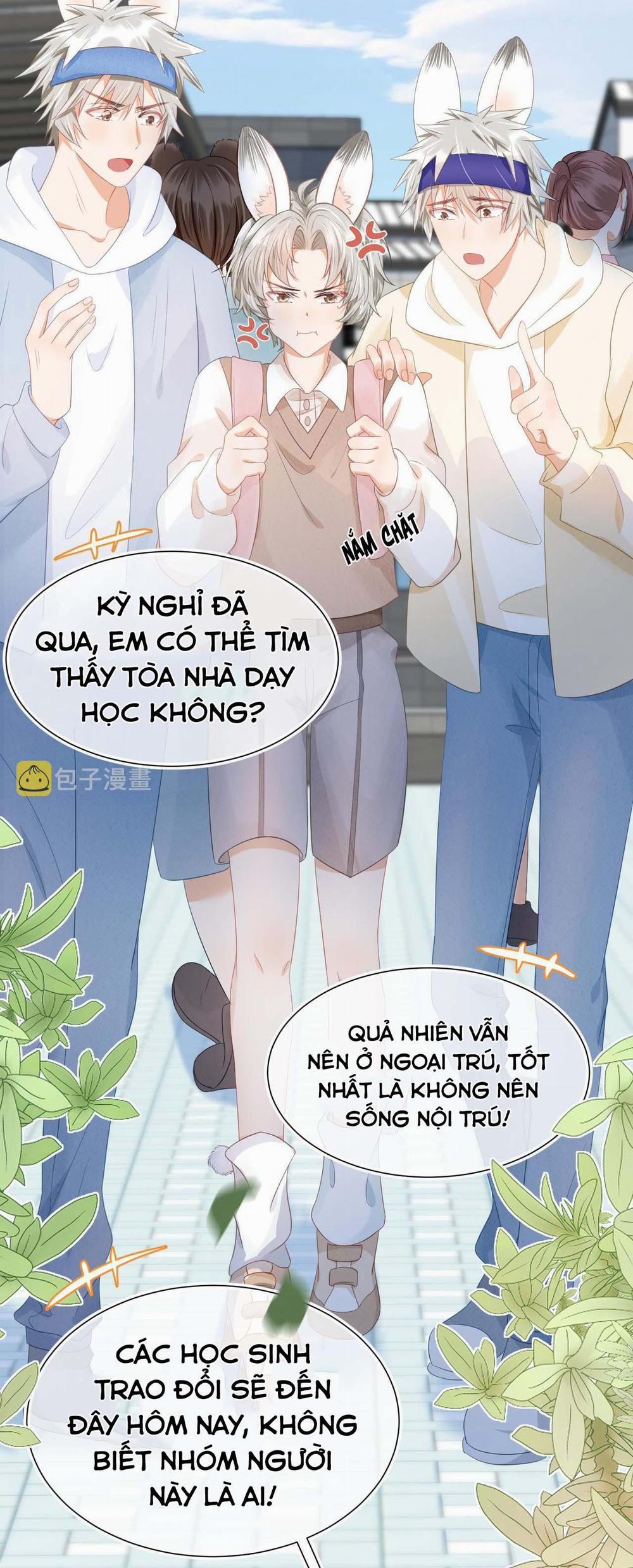 manhwax10.com - Truyện Manhwa [Ss2] Một Ngụm Ăn Cả Thỏ Con Chương 1 Trang 21