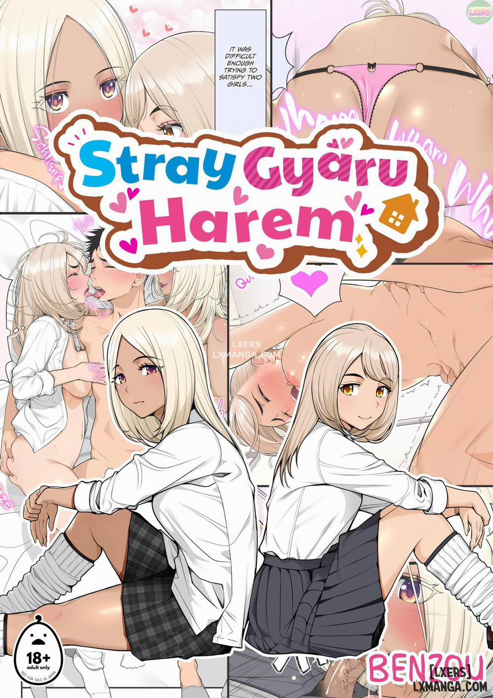 manhwax10.com - Truyện Manhwa Stray Gyaru Harem Chương 1 Trang 1