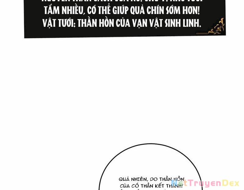 manhwax10.com - Truyện Manhwa Ta Là Chúa Tể Trùng Độc Chương 40 Trang 8