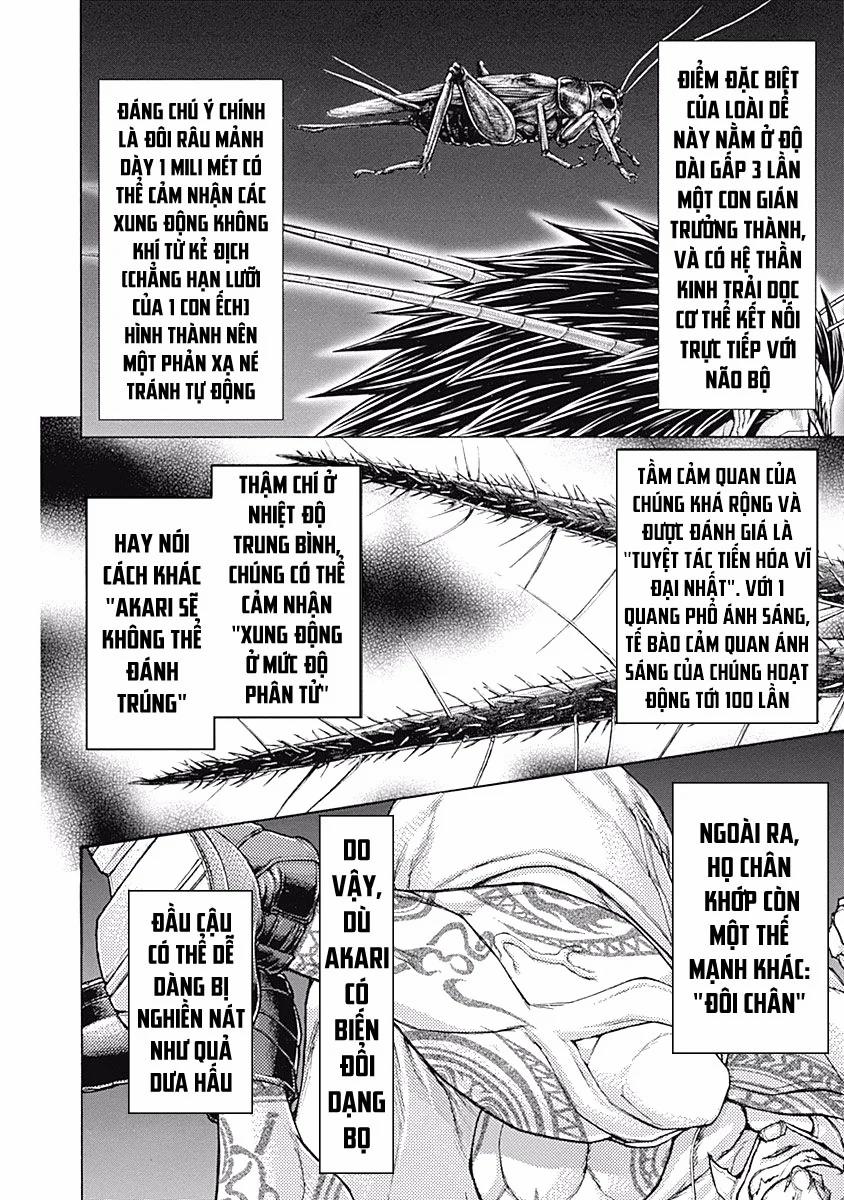 manhwax10.com - Truyện Manhwa Terra Formars Chương 177 Trang 4