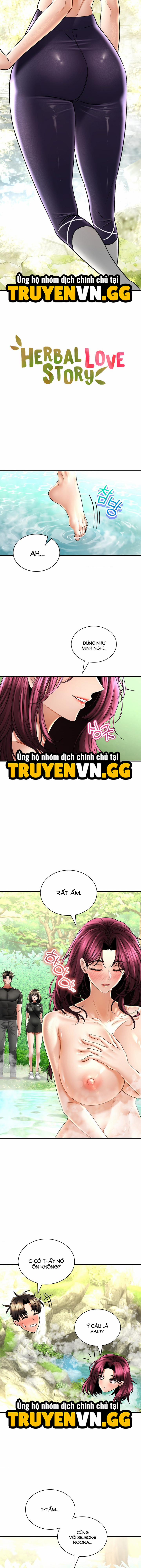 manhwax10.com - Truyện Manhwa Thảo Dược Mê Tình Chương 62 Trang 3