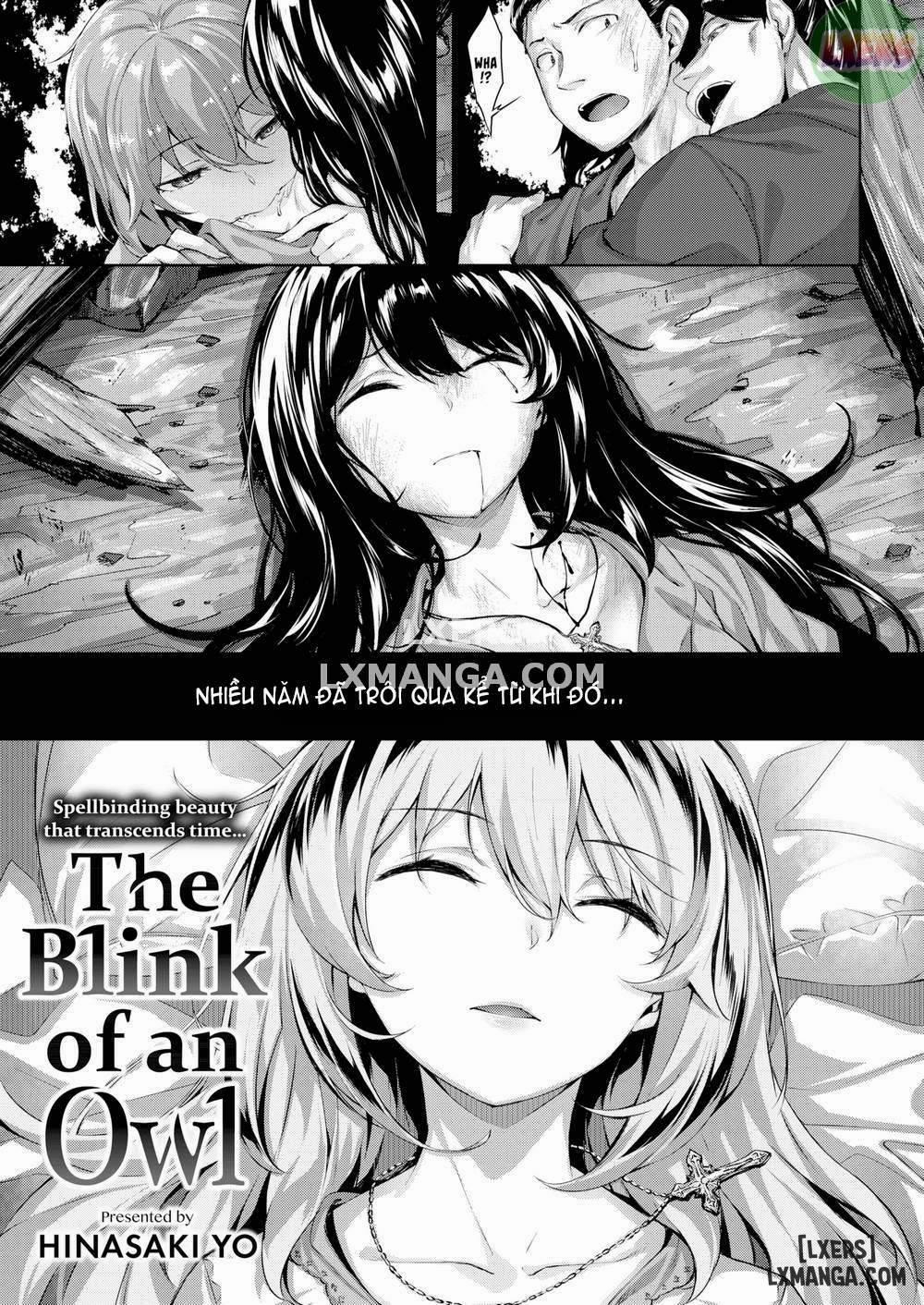 manhwax10.com - Truyện Manhwa The Blink of an Owl Chương Oneshot Trang 3