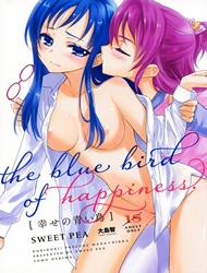 The Bluebird of Happiness (Dokidoki! Precure)