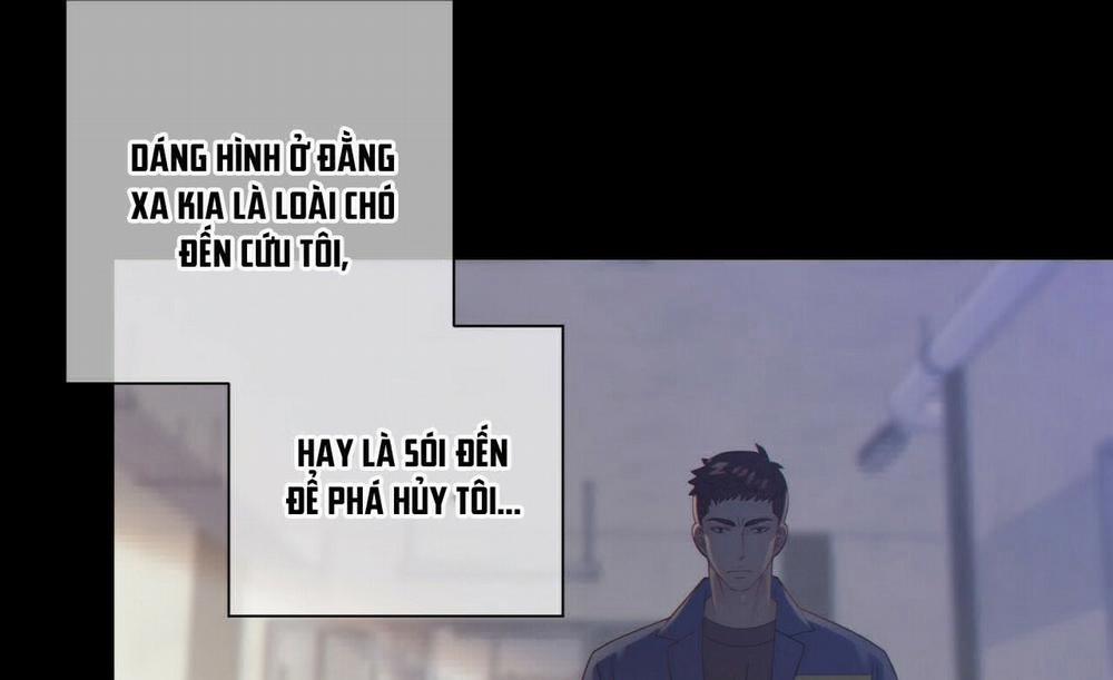 manhwax10.com - Truyện Manhwa Thời gian giữa Sói và Chó Chương 61 Trang 117