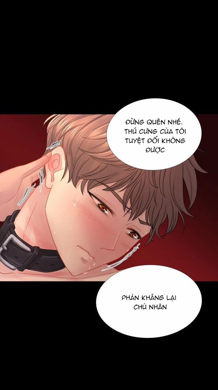 manhwax10.com - Truyện Manhwa Threesome Chương 15 Trang 52