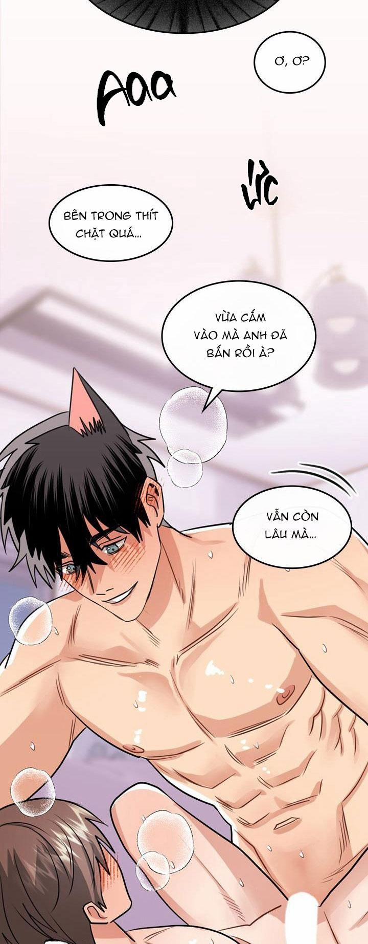 manhwax10.com - Truyện Manhwa THÚ CƯNG DAMDANG Chương 0 PREVIEW Trang 22