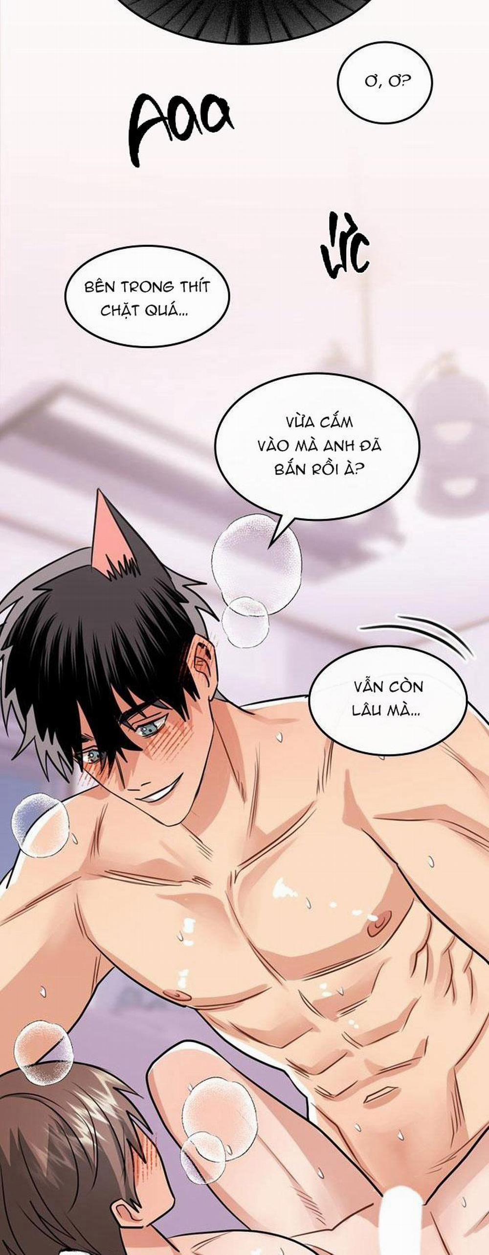 manhwax10.com - Truyện Manhwa THÚ CƯNG DAMDANG Chương 1 Trang 22