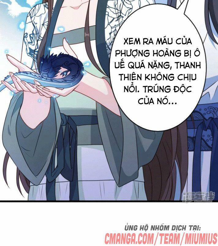 manhwax10.com - Truyện Manhwa Thú Hắc Cuồng Phi Chương 76 Trang 44