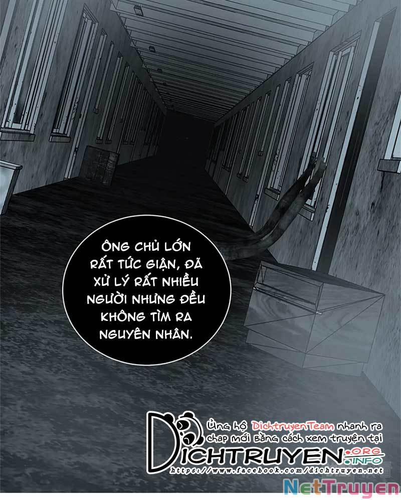 manhwax10.com - Truyện Manhwa Tiên Sinh Nói Dối Chương 59 Trang 16