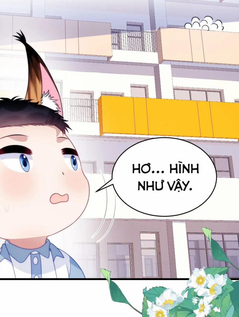 manhwax10.com - Truyện Manhwa Tiểu Dã Miêu Của Học Bá Thật Trêu Người Chương 71 Trang 9