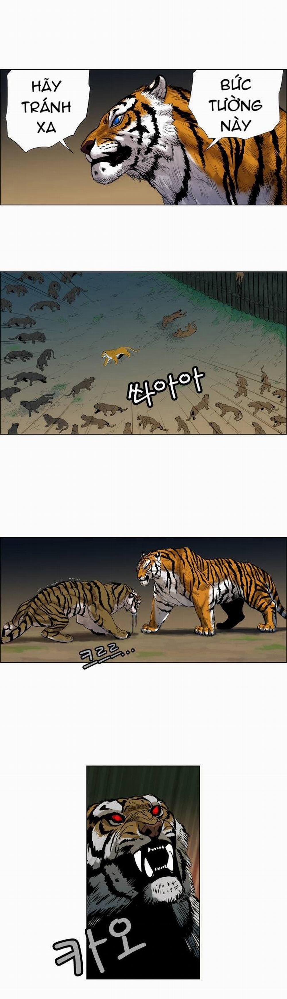 manhwax10.com - Truyện Manhwa Tiger Brother Chương 2 Trang 24