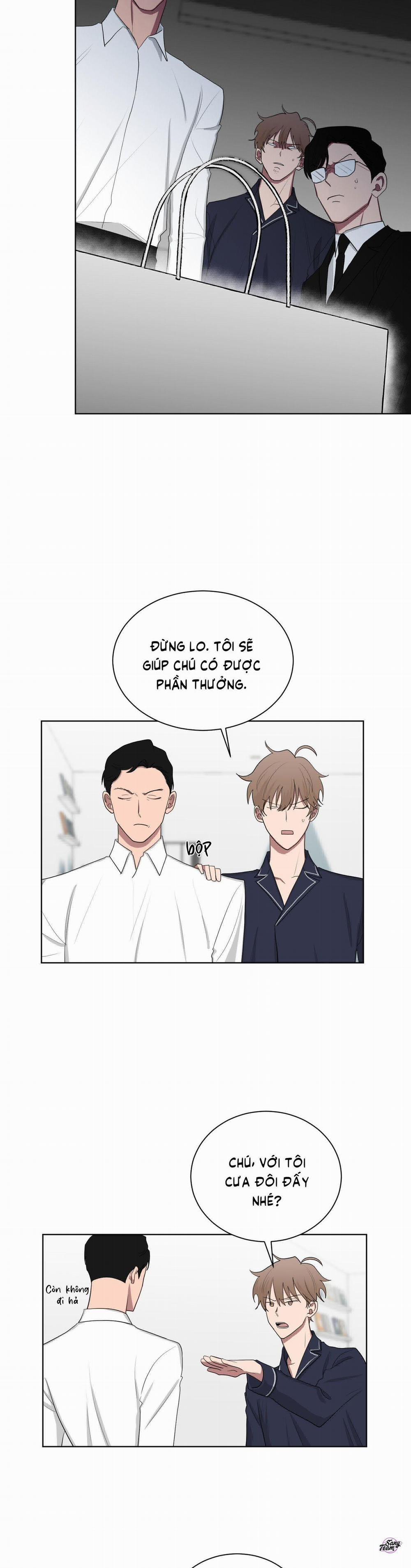 manhwax10.com - Truyện Manhwa Tình Yêu YAKUZA Chương 99 Trang 19