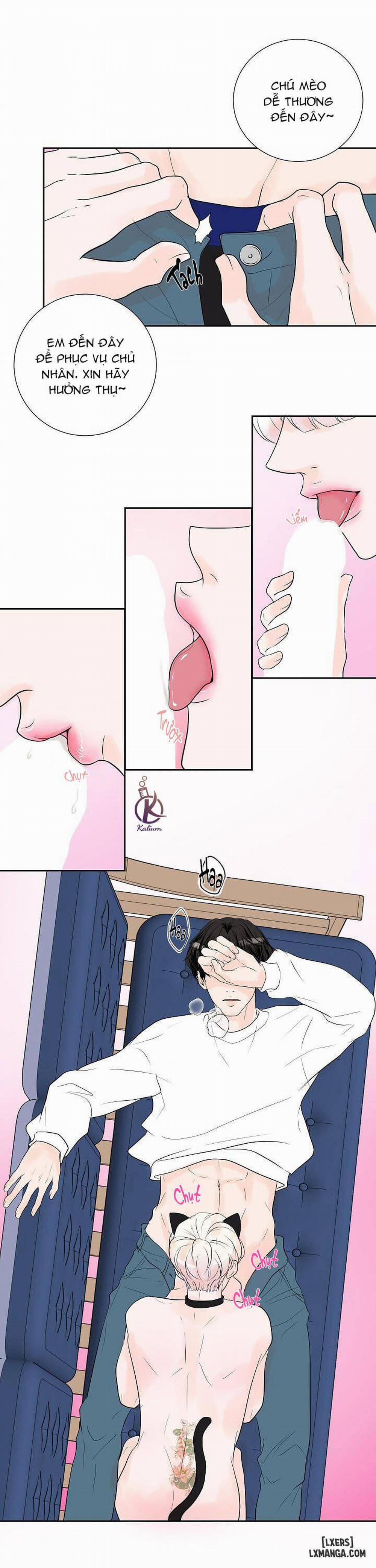 manhwax10.com - Truyện Manhwa Tò mò về Review ư? Chương 23 Trang 11