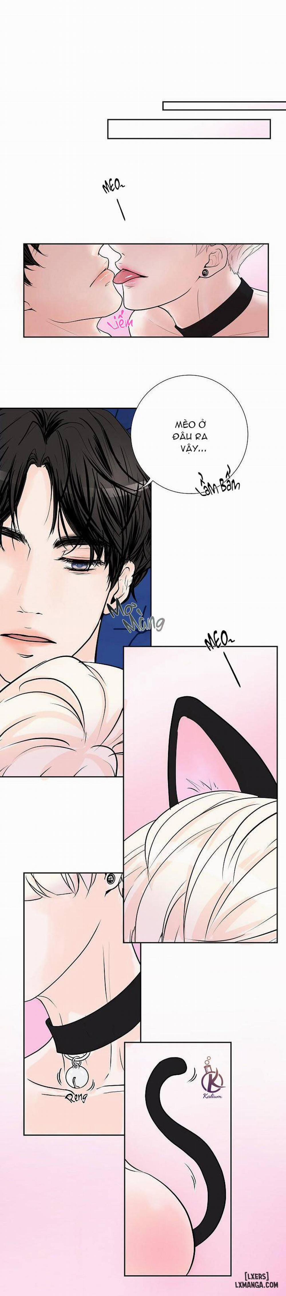 manhwax10.com - Truyện Manhwa Tò mò về Review ư? Chương 23 Trang 9