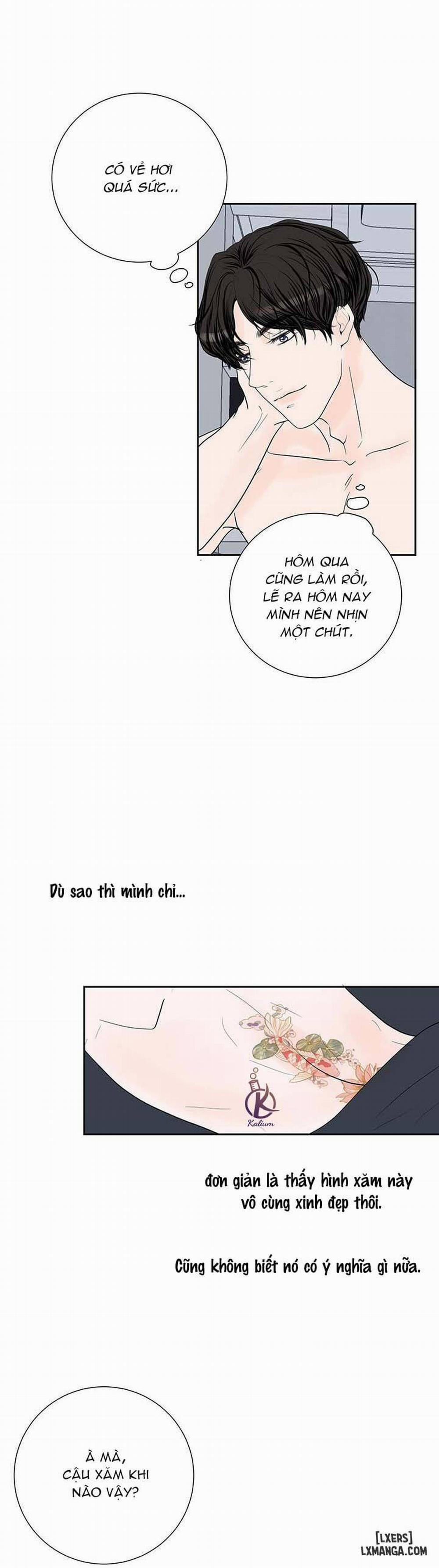 manhwax10.com - Truyện Manhwa Tò mò về Review ư? Chương 34 Trang 19