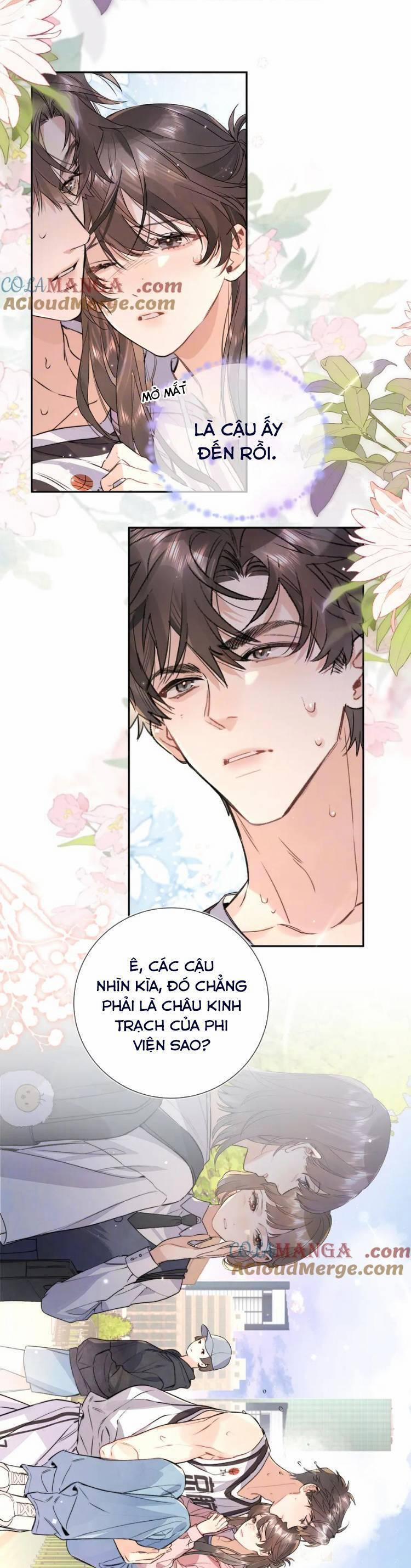 manhwax10.com - Truyện Manhwa Tỏ Tình Chương 64 Trang 2
