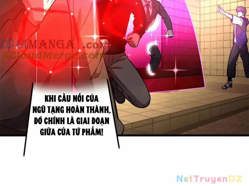 manhwax10.com - Truyện Manhwa Toàn Cầu Cao Võ Chương 290 Trang 124