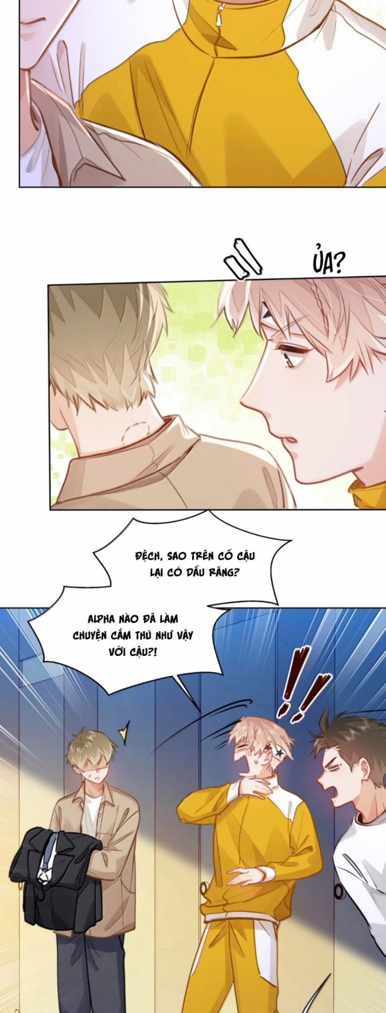 manhwax10.com - Truyện Manhwa Tôi Thích Tin Tức Tố Của Cậu Chương 69 Trang 17