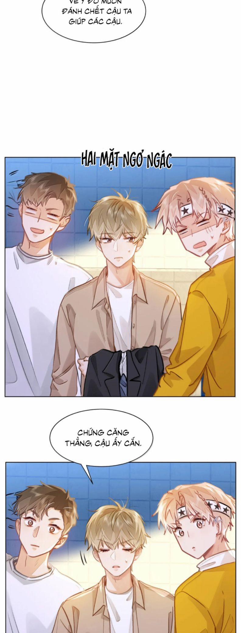 manhwax10.com - Truyện Manhwa Tôi Thích Tin Tức Tố Của Cậu Chương 69 Trang 21