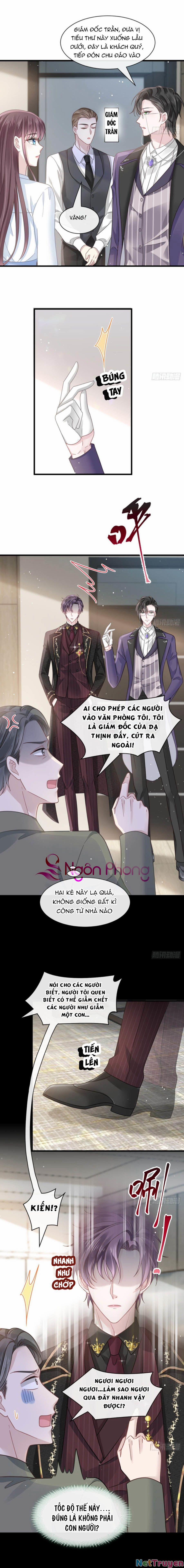 manhwax10.com - Truyện Manhwa Trọng Sinh Trở Thành Món Tráng Miệng Của Tổng Tài Ma Cà Rồng Chương 17 Trang 1