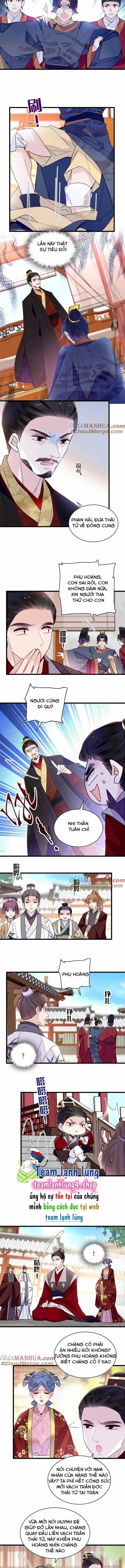 manhwax10.com - Truyện Manhwa Tự Cẩm Chương 253 Trang 2