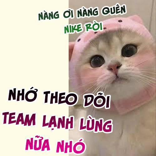 manhwax10.com - Truyện Manhwa Tự Cẩm Chương 361 Trang 7