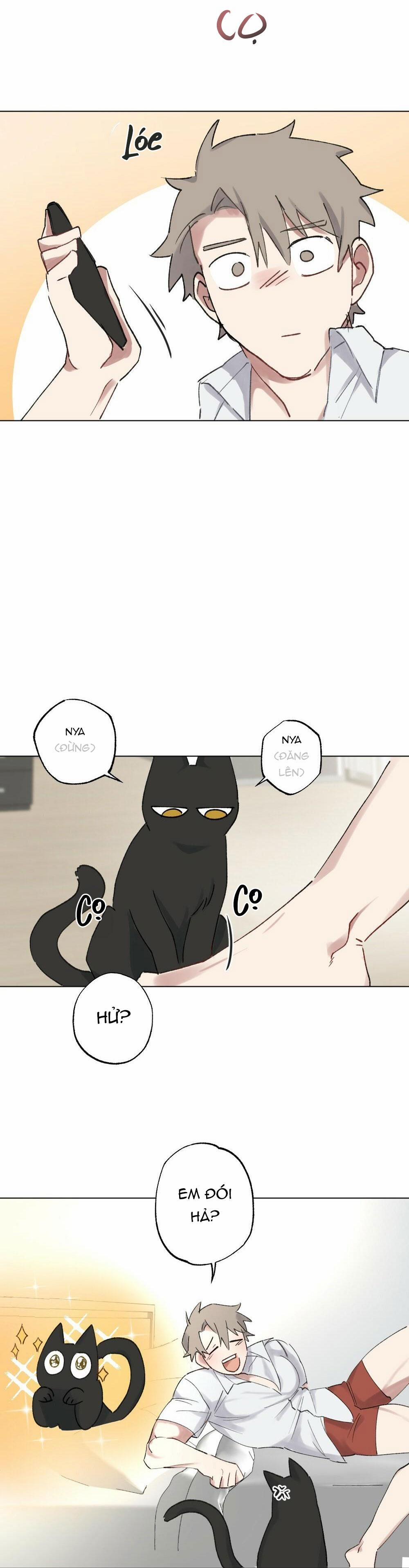 manhwax10.com - Truyện Manhwa TUYỂN TẬP DÚ BỰ Chương 54 15 meow Trang 24