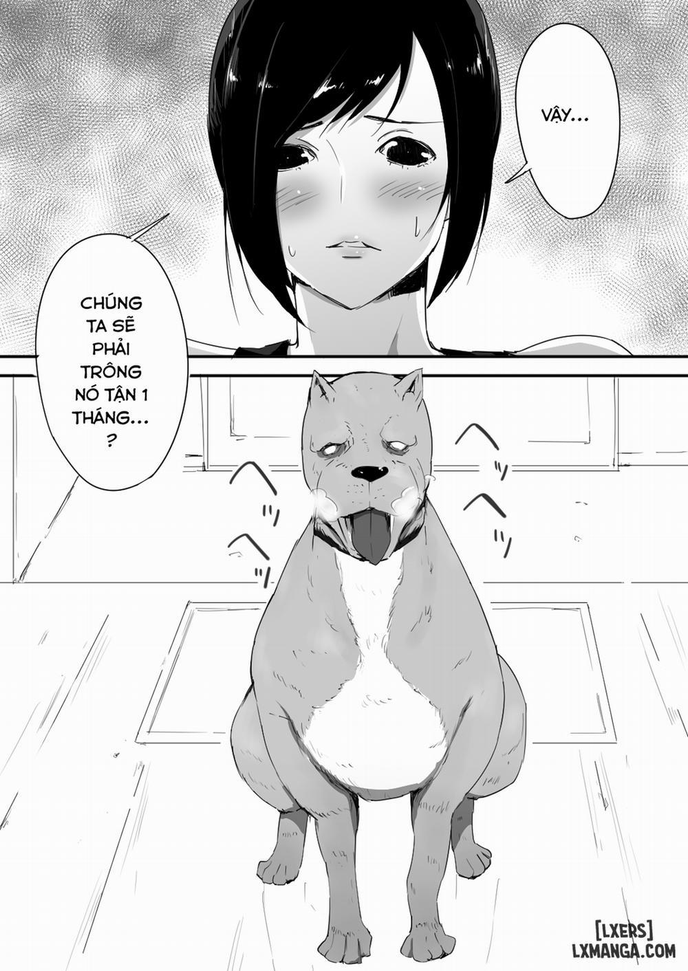 manhwax10.com - Truyện Manhwa Wagaya ni Inu ga Yattekita Chương Oneshot Trang 4