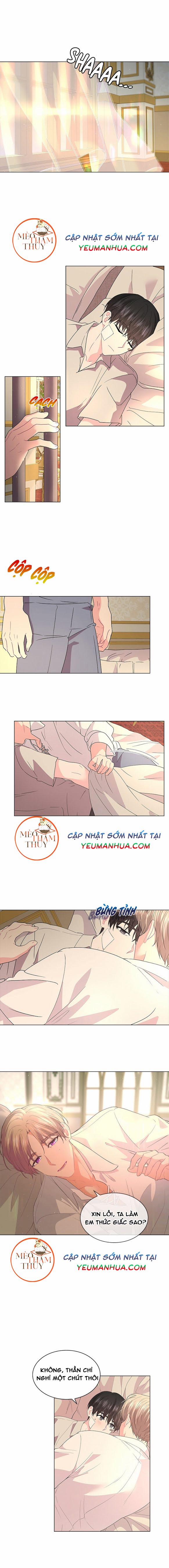 manhwax10.com - Truyện Manhwa Who’s Your Daddy? Chương 43 Trang 7