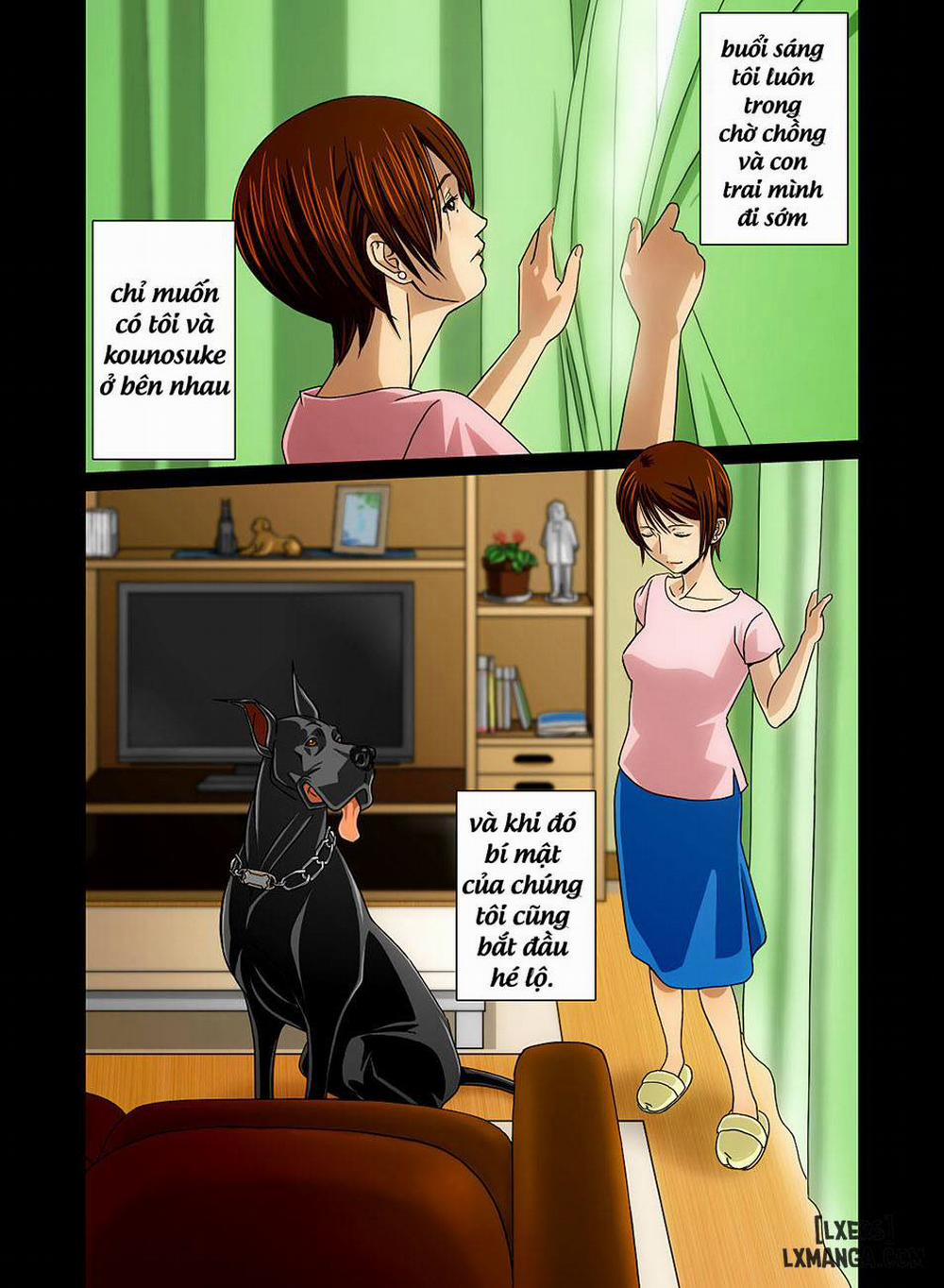 manhwax10.com - Truyện Manhwa Wonderful Life Chương Oneshot Trang 12