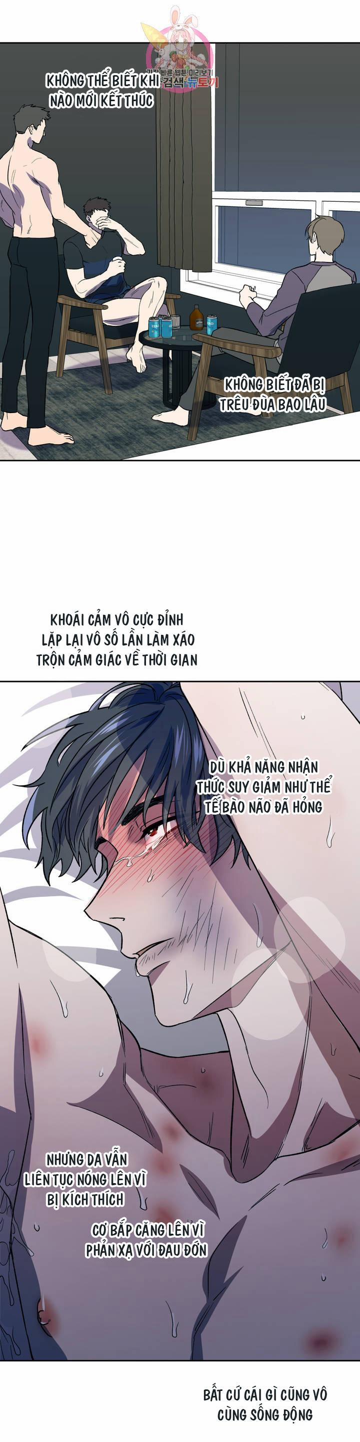 manhwax10.com - Truyện Manhwa Xin Hãy Đánh Tôi Đi! Chương 5 Trang 3