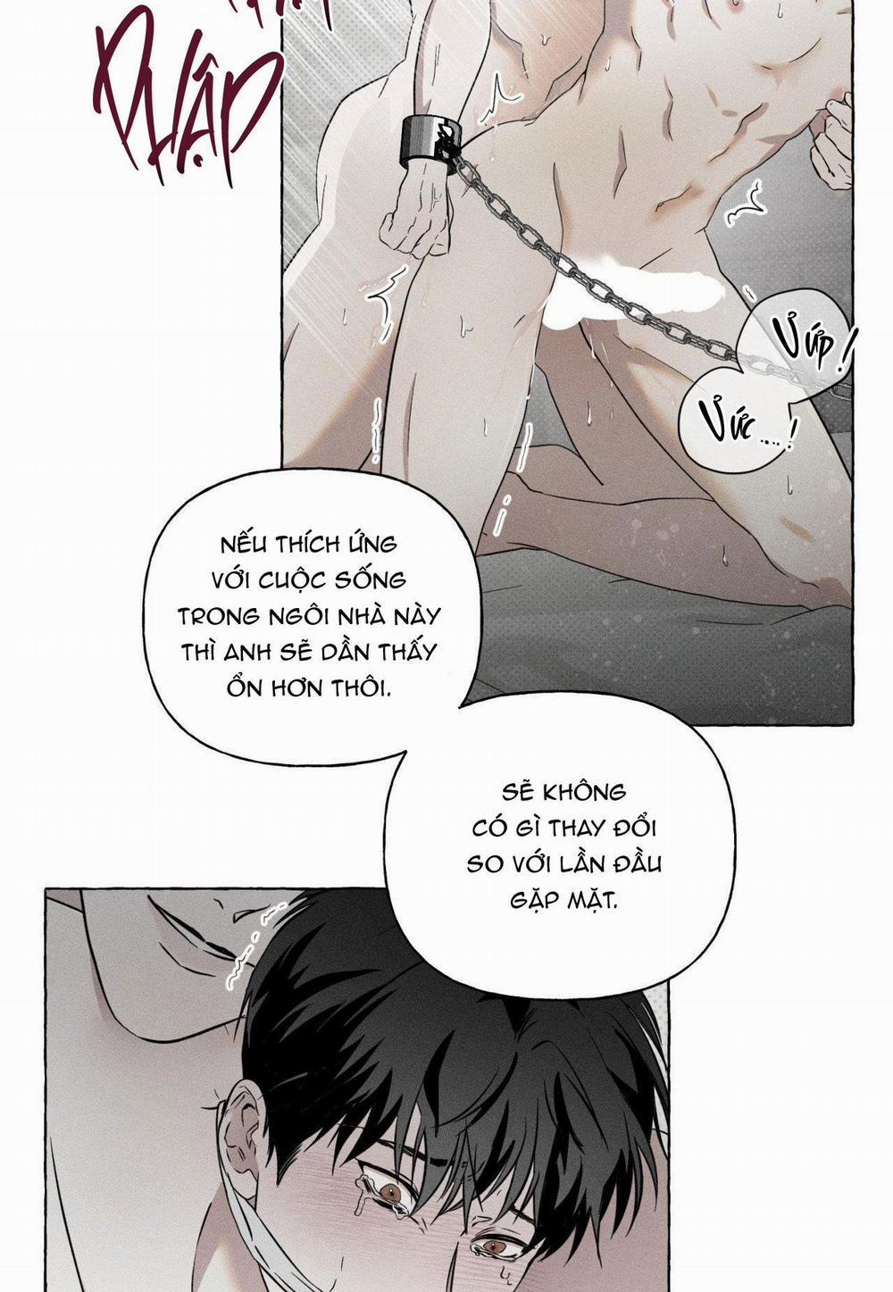 manhwax10.com - Truyện Manhwa XƯƠNG VÀ CÁNH HOA Chương 1 Trang 17