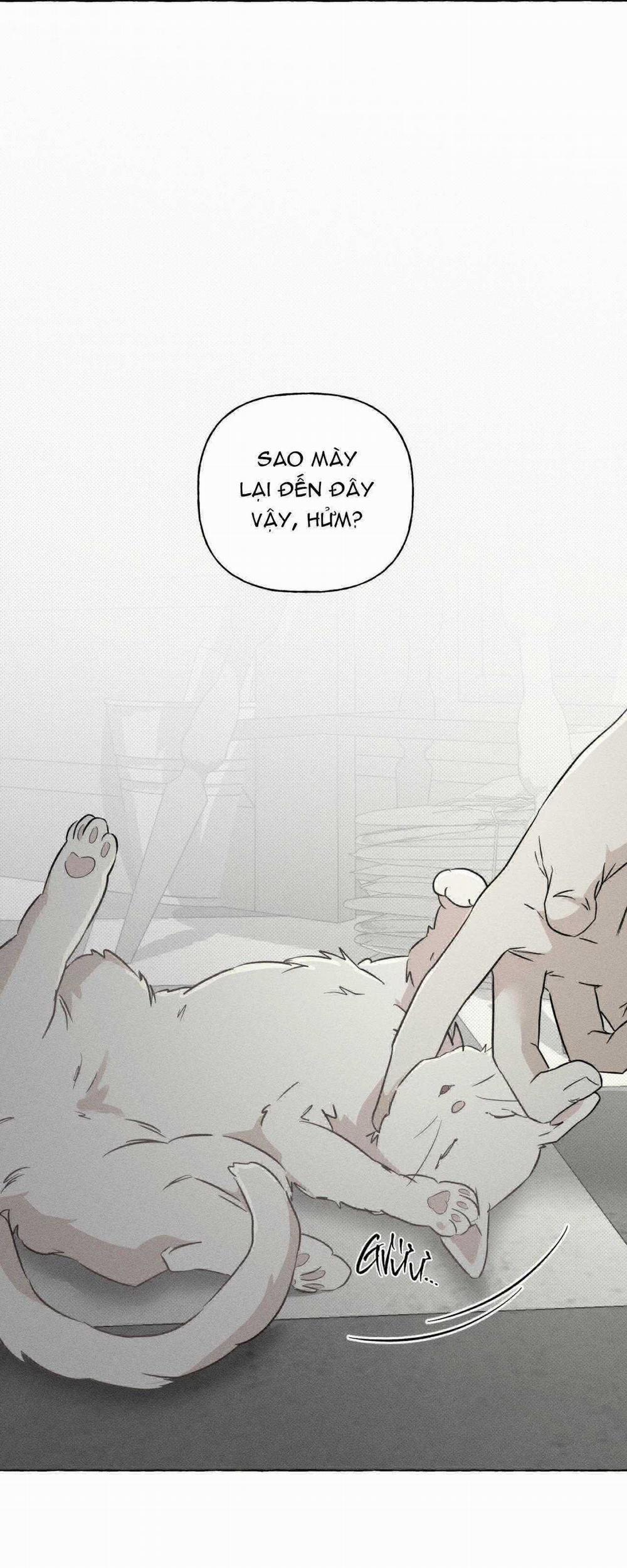 manhwax10.com - Truyện Manhwa Xương Và Cánh Hoa Chương 39 Trang 23