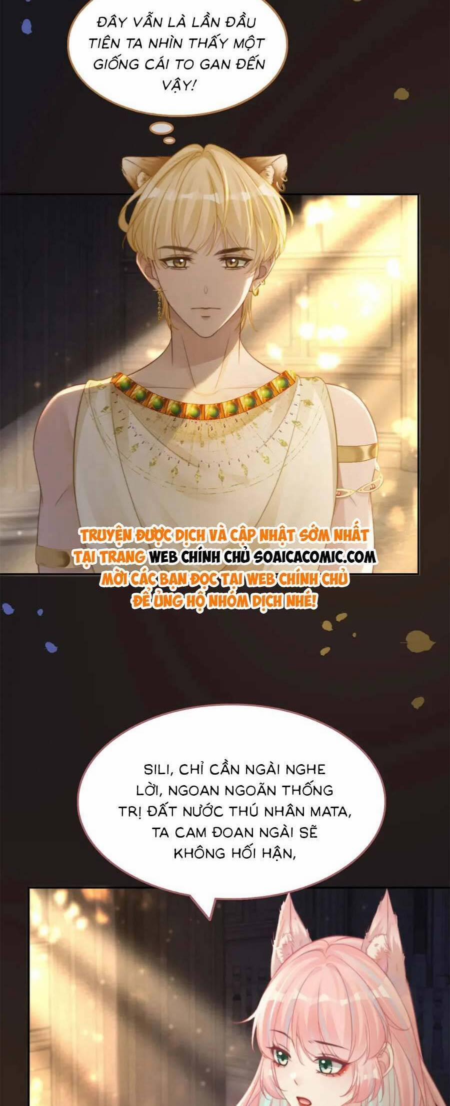 manhwax10.com - Truyện Manhwa Xuyên Nhanh Nữ Phụ Bình Tĩnh Chút Chương 168 2 Trang 13