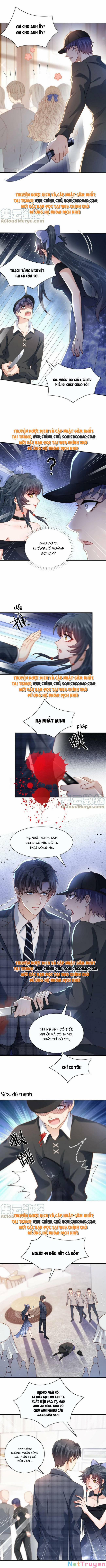 manhwax10.com - Truyện Manhwa Xuyên Nhanh: Tra Nam Này Không Khó Trị Chương 20 Trang 5